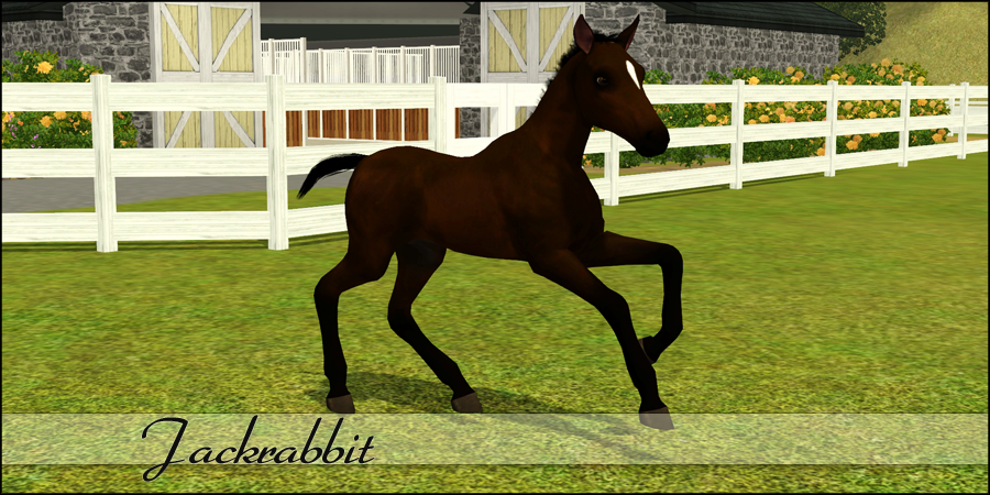 sims 3 horse stable blog